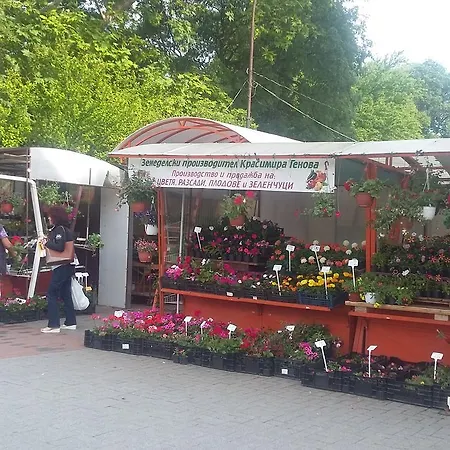 Dreamcatcher's By Rv Апартамент *