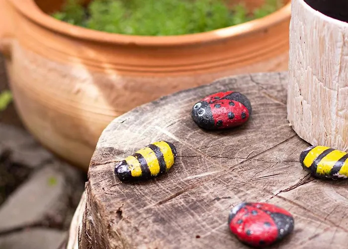 Daire Dreamcatcher's By Rv *