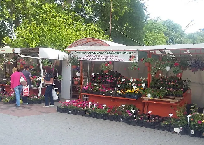 Dreamcatcher's By Rv Daire *